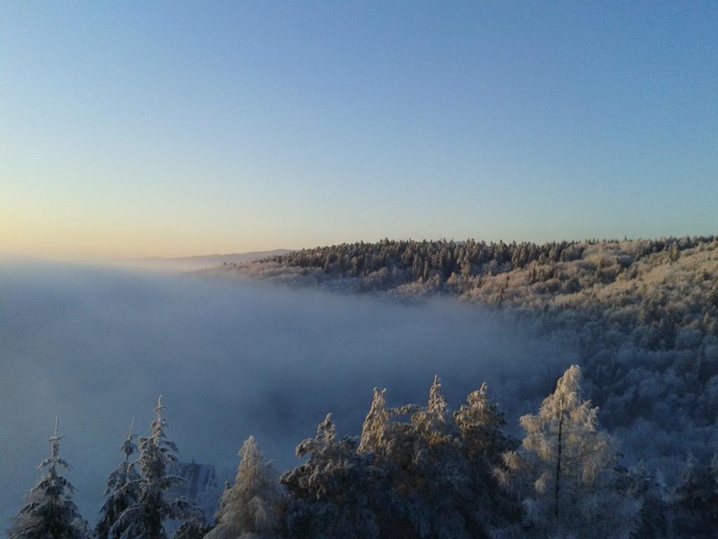 Bellevue Hotel And Resort Bardejov Buitenkant foto